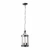 Glastonbury Caged 2-Light Aged Iron Outdoor Pendant Light by Home Decorators Collection -Outlet Home Decorators Collection Store aged iron home decorators collection outdoor pendant lights 302361096 64 1000