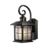 Brimfield 14.2 in. Aged Iron 1 Light Outdoor Wall Lantern with Clear Seedy Glass Shade and 220 Motion Sensing by Home Decorators Collection -Outlet Home Decorators Collection Store aged iron home decorators collection outdoor sconces hb7251ma 292 64 1000