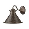 Essen 8.375 in. Antique Copper Outdoor Wall Lamp with Metal Shade by Home Decorators Collection