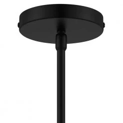 Rollins 2 in 1 Black Semi-Flush Mount/Pendant Convertible by Home Decorators Collection -Outlet Home Decorators Collection Store black brass home decorators collection flush mount lights 35268 hbob 1d 1000