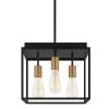 Rollins 2 in 1 Black Semi-Flush Mount/Pendant Convertible by Home Decorators Collection -Outlet Home Decorators Collection Store black brass home decorators collection flush mount lights 35268 hbob 64 1000