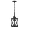 Walcott Manor 8 in. 1-Light Black Outdoor Transitional Pendant Light with Clear Seeded Glass by Home Decorators Collection 2 Walcott Manor 8 in. 1-Light Black Outdoor Transitional Pendant Light with Clear Seeded Glass by Home Decorators Collection -Outlet Home Decorators Collection Store black home decorators collection outdoor pendant lights 1043hdcbldi 64 1000