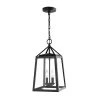 Blakeley Transitional 2-Light Black Outdoor Pendant with Beveled Glass by Home Decorators Collection 1 Blakeley Transitional 2-Light Black Outdoor Pendant with Beveled Glass by Home Decorators Collection -Outlet Home Decorators Collection Store black home decorators collection outdoor pendant lights 2 39905 64 1000