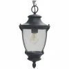 Wilkerson 1-Light Black Outdoor Chain Hung Lantern by Home Decorators Collection -Outlet Home Decorators Collection Store black home decorators collection outdoor pendant lights 23454 64 1000