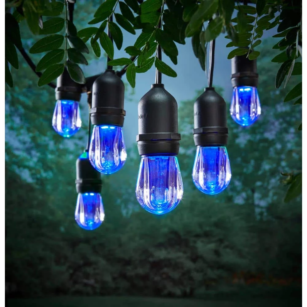 Outdoor 24 ft. Plug-in Edison Bulb LED String Light Color Change with Timer and Sensor by Home Decorators Collection 9 Outdoor 24 ft. Plug-in Edison Bulb LED String Light Color Change with Timer and Sensor by Home Decorators Collection - Image 8