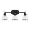 Birkdale 24 in. 3-Light Black Vanity Light by Home Decorators Collection