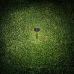 2-Watt Low Voltage Brass Outdoor Integrated LED Path Light 2700K Warm White Landscape Pack of 1 by Home Decorators Collection -Outlet Home Decorators Collection Store brass home decorators collection path lights ecp18 led 40 1000