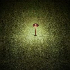 Outdoor Low Voltage Brass LED Path Light with Waterproof (1-Pack) by Home Decorators Collection -Outlet Home Decorators Collection Store brass home decorators collection path lights kecp20 led 40 1000