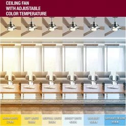 Ester 54 in. White Color Changing Integrated LED Indoor/Outdoor Brushed Nickel Ceiling Fan with Light Kit and Remote by Home Decorators Collection -Outlet Home Decorators Collection Store brushed nickel home decorators collection ceiling fans with lights 52155 40 1000