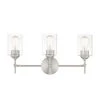 Ayelen 22 in. 3-Light Brushed Nickel Modern Bathroom Vanity Light by Home Decorators Collection