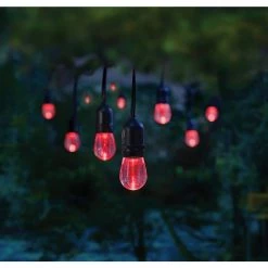 12-Light 24 ft. Integrated LED String Light with Color Changing Bulbs by Home Decorators Collection -Outlet Home Decorators Collection Store clear bulb with black cable home decorators collection string lights tw01l003wrgb12 40 1000