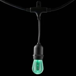 12-Light 24 ft. Integrated LED String Light with Color Changing Bulbs by Home Decorators Collection -Outlet Home Decorators Collection Store clear bulb with black cable home decorators collection string lights tw01l003wrgb12 4f 1000