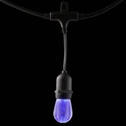 12-Light 24 ft. Integrated LED String Light with Color Changing Bulbs by Home Decorators Collection -Outlet Home Decorators Collection Store clear bulb with black cable home decorators collection string lights tw01l003wrgb12 a0 1000