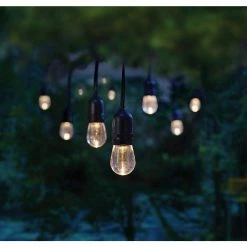 Outlet Home Decorators Collection Store -Outlet Home Decorators Collection Store clear bulb with black cable home decorators collection string lights tw01l003wrgb12 e1 1000