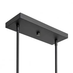 Elden Modern 4-Light Faux Wood and Black Outdoor Chandelier by Home Decorators Collection 17 Elden Modern 4-Light Faux Wood and Black Outdoor Chandelier by Home Decorators Collection -Outlet Home Decorators Collection Store faux wood home decorators collection outdoor chandeliers 44884 a0 1000