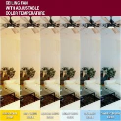 Makenna 60 in. White Color Changing Integrated Outdoor LED Matte Black Ceiling Fan with Light Kit, DC Motor and Remote by Home Decorators Collection -Outlet Home Decorators Collection Store matte black home decorators collection ceiling fans with lights 52106 d4 1000