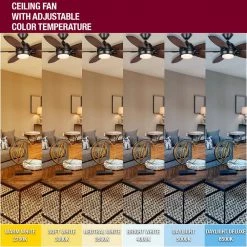 Daniel Island 52 in. White Color Changing Integrated LED Outdoor Matte Black Ceiling Fan with Light Kit and Remote by Home Decorators Collection 29 Daniel Island 52 in. White Color Changing Integrated LED Outdoor Matte Black Ceiling Fan with Light Kit and Remote by Home Decorators Collection -Outlet Home Decorators Collection Store matte black home decorators collection ceiling fans with lights 52179 d4 1000