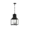 Rainbrook 2-Light Matte Black Outdoor Pendant Light with Seeded Glass by Home Decorators Collection -Outlet Home Decorators Collection Store matte black home decorators collection outdoor pendant lights 33654 64 1000