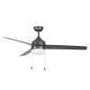 Carrington II 60 in. LED Indoor/Outdoor Natural Iron Ceiling Fan with Light by Home Decorators Collection