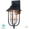 Wisteria Collection 1-Light Sand Black Outdoor Wall Lantern Sconce with Clear Glass Shade by Home Decorators Collection