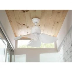 Outlet Home Decorators Collection Store -Outlet Home Decorators Collection Store white home decorators collection ceiling fans without lights yg612 wh e1 1000