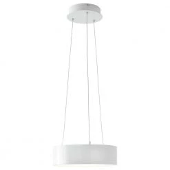 Hollandale 75-Watt Equivalence Integrated LED White Pendant by Home Decorators Collection -Outlet Home Decorators Collection Store white home decorators collection chandeliers 11218 44 1000